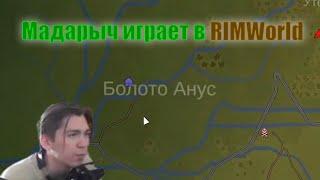 Мои подписчики в RimWorld