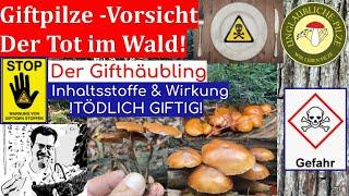 Der Gifthäubling  der Tod im Wald! Giftpilze erkennen und bestimmen - Pilzwissen - Sept 2022