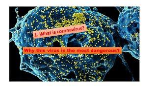 What is the novel coronavirus and why this is more dangerous for us