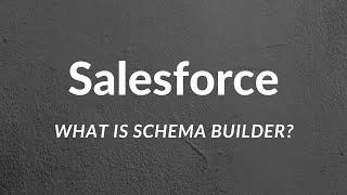 Salesforce: Schema Builder Tutorial