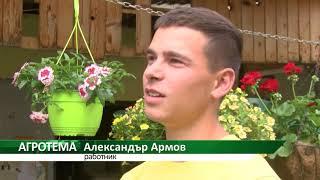 Агротема: Семейство отглежда сезонни цветя в Стамболово, автор: Ана Минева