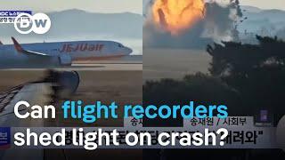 Jeju Air plane crash: What happens to an aircraft when a so-called bird strike occurs? | DW News