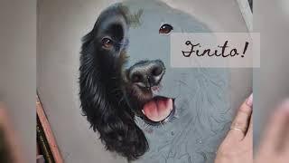 How to Draw Black Curly Fur with Coloured Pencils.. and how to speed up the process with PanPastels!