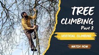 How To Climb Trees Part Two - Climbing Vertical Trunks