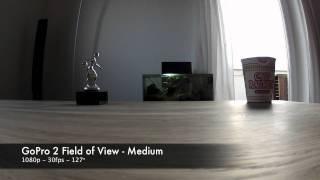 Gopro HD 2 Field of View (wide angle) Demonstration / Comparison