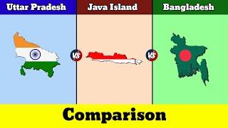 Uttar Pradesh vs Java Island vs Bangladesh | Comparison | Data Duck