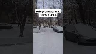 Here snow has fallen. У нас выпал снег. #shorts