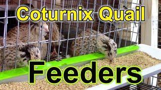 Coturnix Quail Feeders - Dealing with Feed Waste
