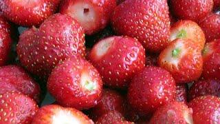 Strawberry sorting with optical machine Spray 3Way | Raytec Vision