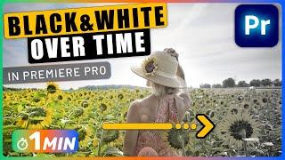 How to FADE to BLACK and WHITE in Premiere Pro