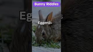 Bunny Riddle15 #Shorts