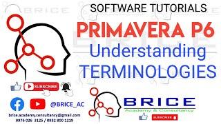 PRIMAVERA P6 TERMINOLOGIES  : P6 Lesson 2.1