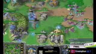 2007 Grand Final Fourth day: War Craft match: SkY vs 4K-Creoloph_03