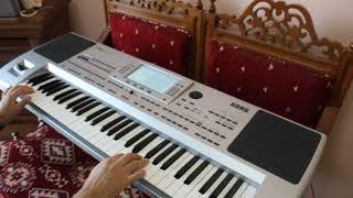 Dostum Dostum Korg pa80 Türküler..