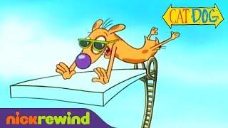 Dog Breaks a Handful of Pool Rules | CatDog | NickRewind