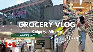 [Grocery Vlog] Realistic grocery shopping | Asian Supermarket | Stocking up | Life in Alberta 