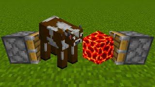 cow + magma = ???