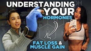 Understanding Your Hormones For Fat Loss & Muscle | The Women's Series Ep. 2