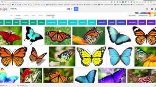 Images & Transparency - Hacking Google Slides