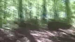 GNCC ATV Racing. Hurricane Mills, TN (2006)