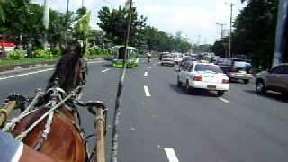 PHILIPPINES. My country, my home. riding a KALESA in  the heart of Manila.