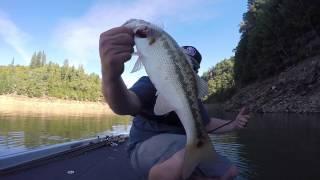 How To Pick The Best Spots To Catch Bass