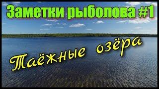 Рыбалка. Заметки рыболова #1.Таёжные озёра Томской области. Fishing in Russia