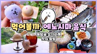 담곰이 성지 투어, 여름의 에노시마 맛집 여행️ | 하루종일 먹다가 끝나는 에노시마에서의 하루 | 슬램덩크 성지, 가마쿠라고교 | 도쿄 근교 여행 | 한일커플 | 오타쿠브이로그