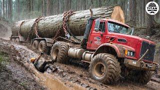 Extreme Dangerous Big Logging Wood Truck Driving Skill | Fastest Chainsaw Cutting Tree Machines #3