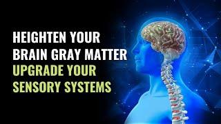 Gray Matter Activation Frequency | Heighten Your Brain Gray Matter | Upgrade Your Sensory Systems