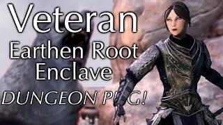 Carrying a random dungeon in Veteran Earthen Root Enclave! | Elder Scrolls Online Dungeons