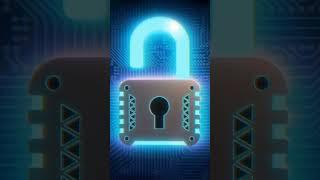 Cyber Security Essentials Protecting the Digital Real