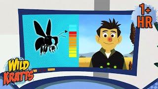 The Honey Badger Adventure! Fun Animal Friends | Full Episodes | Wild Kratts | 9 Story Kids