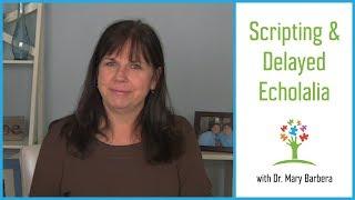 Why Do Kids with Autism Script & How to Reduce Scripting and Delayed Echolalia