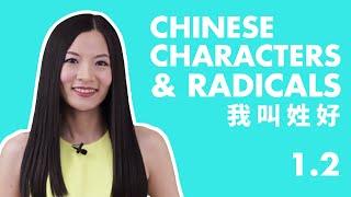 Learn Chinese Characters for Beginners 1.2 | Beginner Chinese Characters Course | HSK 1 Characters