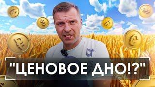 ЦЕНЫ НА УРОЖАЙ ЛЕТЯТ ВНИЗ⁉️ ЧТО ПРОИСХОДИТ⁉️КОГДА БУДЕТ РОСТ⁉️ аналитика цен на урожай