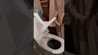 Cinderella Travel Incinerating Toilet in a Skoolie!