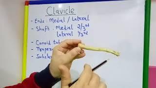 CLAVICLE GENERAL FEATURES AND ATTACHMENTS BY DR MITESH DAVE