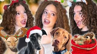 Kalogeras Sisters BRING THEIR PETS CHRISTMAS SHOPPING!