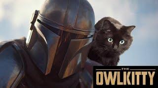 If Baby Yoda was a Cat (Mandalorian + OwlKitty)