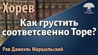 Как грустить соответсвенно Торе? Рав Даниэль Маршальский