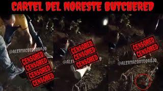 The Gulf Cartel Go Old School In  A Shocking New Cartel Video | Cartel Del Noreste Members Butchered
