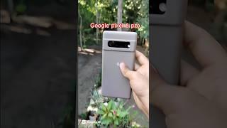 Google Pixel 6 Pro Camera Test [pixel6pro] #shortsvideo