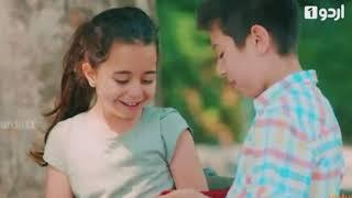 jane meri janeman || instagram trending sound||farrukh ayesha|| #short #trendingll #janemerijaneman