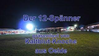 Der 12 Spänner von Kaltblut-Knoche