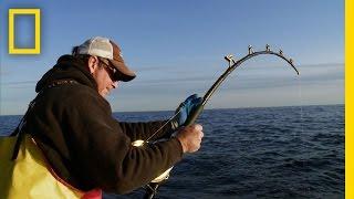 Biggest Fish of the Year | Wicked Tuna