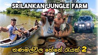 තණමල්විල හේනේ රැයක් 2 , sri lankan jungle farm #thesailor #srilanka