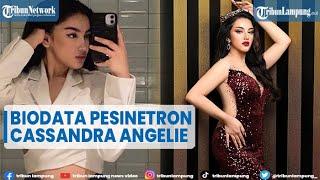 Biodata Cassandra Angelie yang Terlibat Kasus Prostitusi Online @TRIBUNLAMPUNGNEWSVIDEO