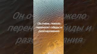 #знакизодиака #обидчив #близнецы #лев #стрелец #козерог #овен #рак #водолей #телец #рыбы #скорпион