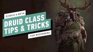 Diablo 4 - Druid Class Tips and Tricks For Beginners